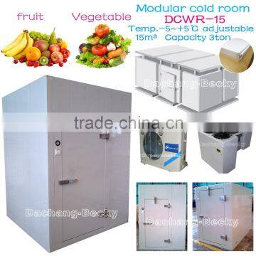 Fruit and vegetable standard cold room 15m3 with capacity 3 tons