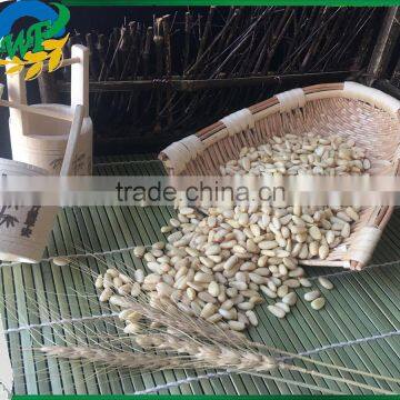 2015 Top Quality Pine Nut Kernels for Sales photo-2