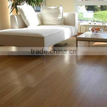 Vinyl Tiles for House System photo-3