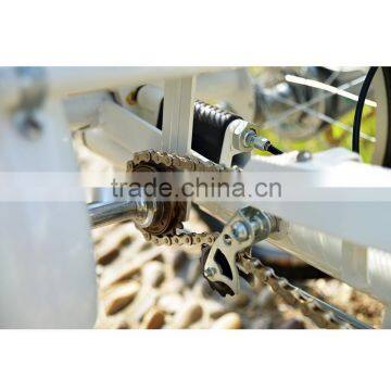 China Electric Bajaj Tricycle Pedal Adults for Elderly photo-6