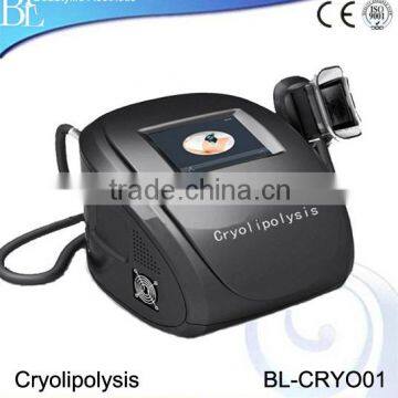 500W Effective Freezing Cryolipolysis Fat Melting Machine Price Increasing Muscle Tone