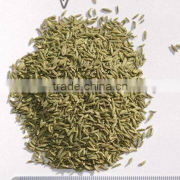 Fennel Seed