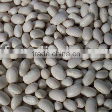 2015 new crop White Kidney Bean, Japanese Type(712)