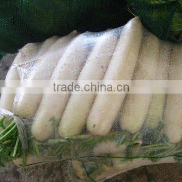 Fresh Chinese White Radish on Sale photo-3