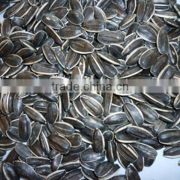 sell Chinese new crop sunflower seeds 20/64,22/64,24/64