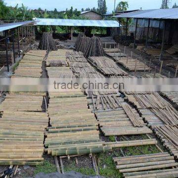 Petung Bamboo