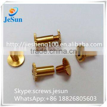 2015 Hot Sales Book Binding Screw ,Photo Book Screw,brass Male and Female Screw With Logo photo-2