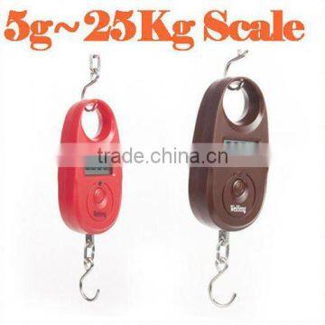 Electronic 5g/25Kg Digital Hanging Fishing Hook Luggage Weight Pocket Scale