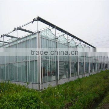 Agriculture Greenhouse Hydroponic system vertical