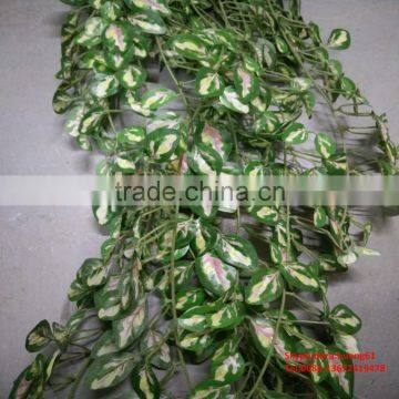 SJH010530 Factory Wholesale Artificial Small Plants Green Wall System photo-5