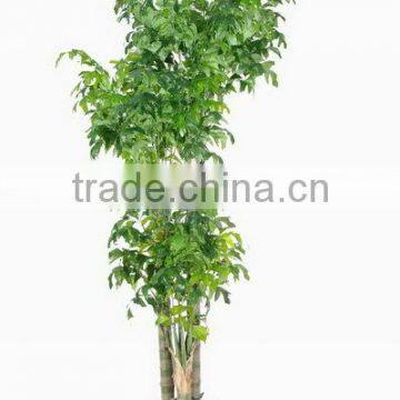 SJ12001161 Artificial Plastic Mini Palm Tree Artificial Bonsai Plant photo-5