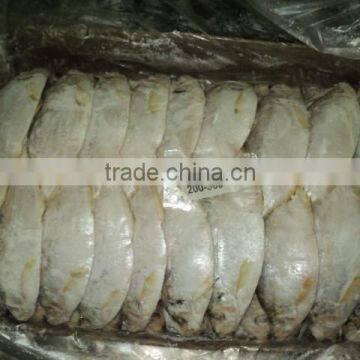 Katti Fish photo-2