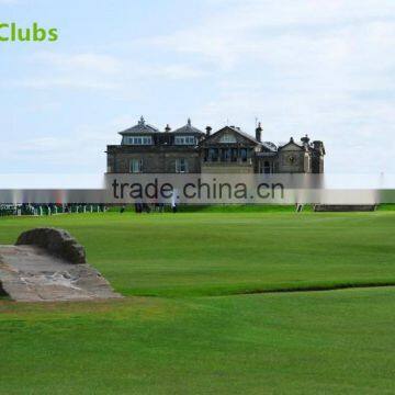 M5 Mini Blance Scooter 2016 Custom Designed for Golf for September Procurement Festival photo-5