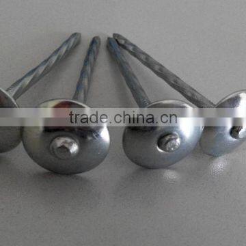 China Supplier Roofing Nail/galvanized Roofing Nail/umbrella Head Coil Roofing Nail photo-4
