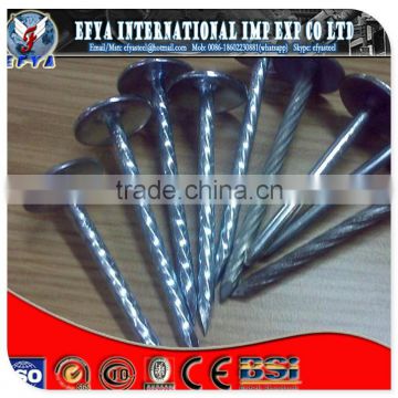 Roofing nails with umbrella head Hoop iron weldingrod