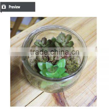 Artificial Table Decoration Small Plants Preserved Plant for Office Decoration Artificial Mini Bonsai Decoration photo-2