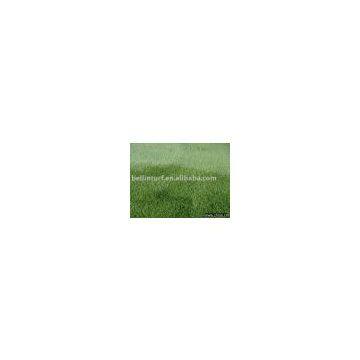 Artificial Lawn BN40216120(4tone)