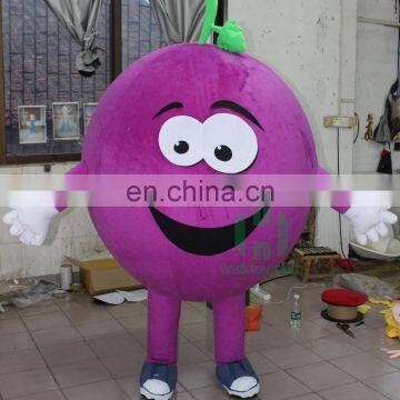 HI CE high quality lovely fruit vegetable inflatable costume ,inflatable toy costumes