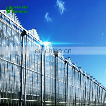 Glass Greenhouse Construction In China For Sale