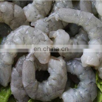 Shrimp Shell Removing Machine for Sale