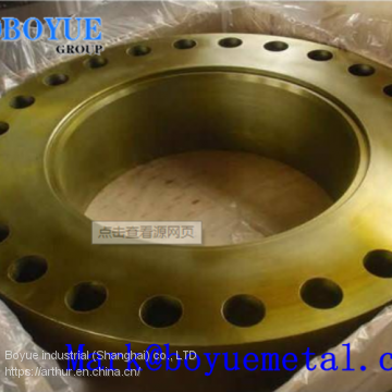 Nickel Alloy Flange 4
