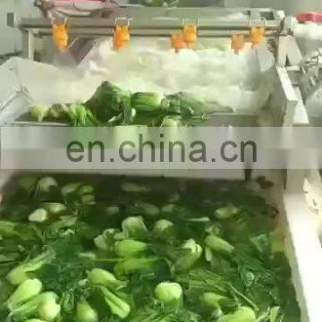 Automatic fruit and vegetable washing machine vegetable washing machine manufacturers