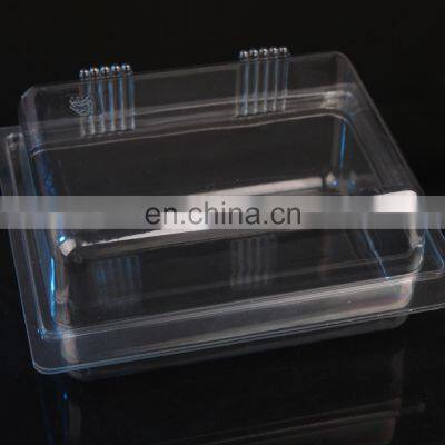 Factory Price High Quality Plastic Cake Box Making Machine, Plastic Thermoforming Machines for Making Plastic Box photo-5