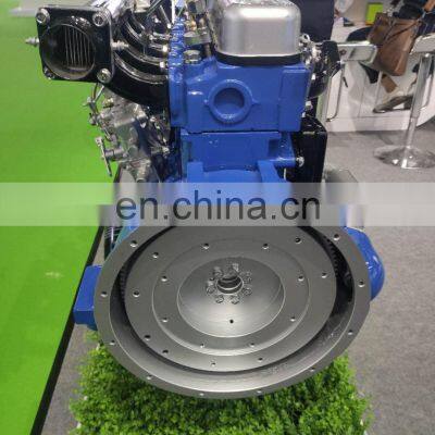 Hot Sale Brand New Ricardo 495 Series Diesel Engine for Generator/Water Pump Use/Marine Use photo-5
