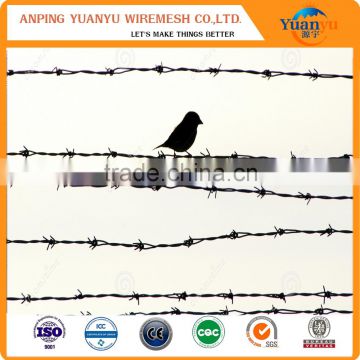 barbed wire mesh