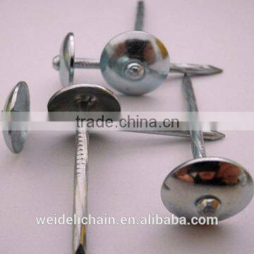 Shandong Manufacturer Zinc Coated Galvanized Roofing Nails Quality Choice photo-2