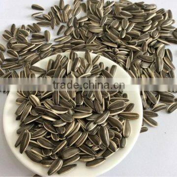 stripe sunflower seed market price