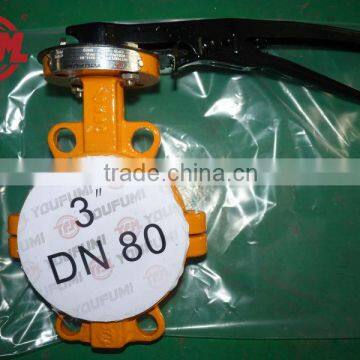 DN80 PTFE Lined Wafer Butterfly Valve corrosion