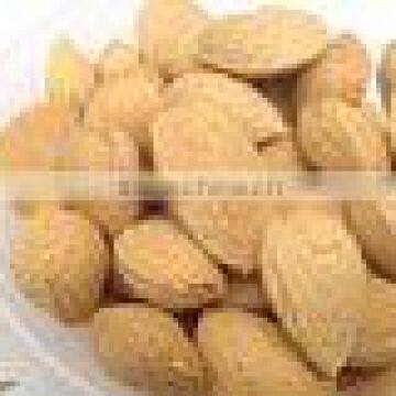 Almonds Kernel / Almonds With Shell