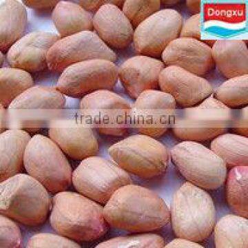 chinese peanut kernels 50/60