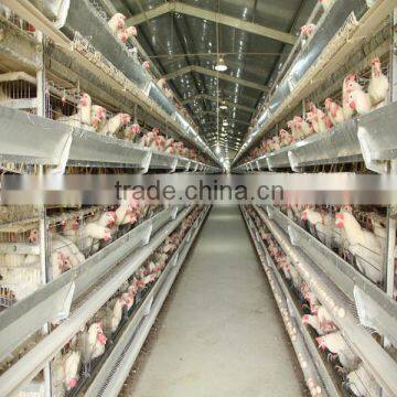 High quality galvanized layer chicken cage with drinking system