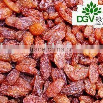 Light red raisins, Grade AA