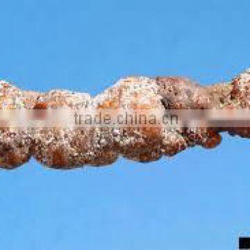 COCCUS RAW LACCA IN VIETNAM