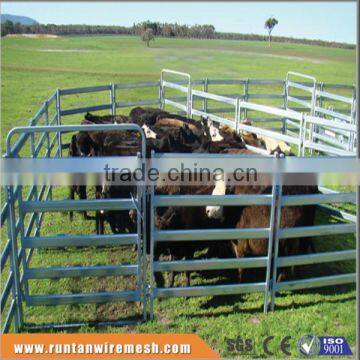 Australia hot dipped galvanized cattle pens In Farm (Factory Trade Assurance)