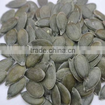 Agriculture Different Types of Pumpkin Seeds Kernel& Pumpkin Seeds GWS /Dark Green Pumpkin Seeds Grown Without Shell photo-2