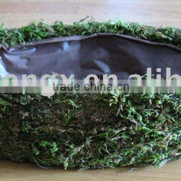 Boat Shape Garden Moss Planter