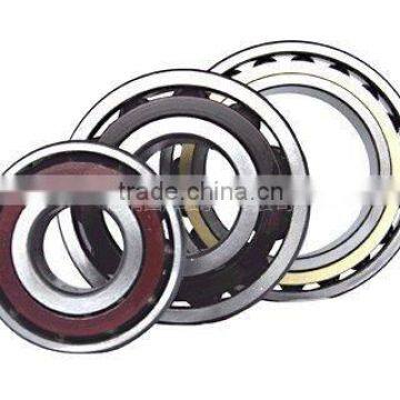 Hight Quality/Factory Price Angular Contact Ball Bearing