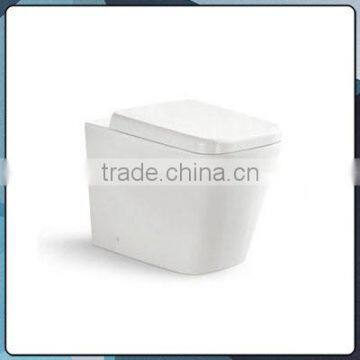 concealed cistern washdown floor mounted toilet / wall hung toilet B2051B