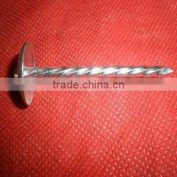 2"x9bwg Galvanized Roofing Nails With Umbrella Head photo-6