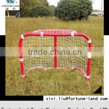 Practice using mini ice hockey goal for child