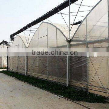 Agriculture Multi Span Plastic Film Greenhouse