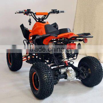 Shaft Drive Powerful Electric Quads With 800W Bushless Motor photo-4