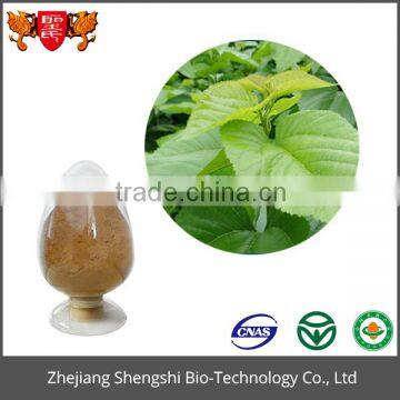 Best price Food grade product Green organic mulberry leaf extract powder