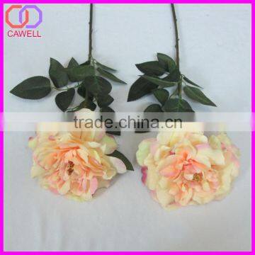 Factory direct low price The wild rose