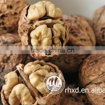 chinese bulk walnut in shell