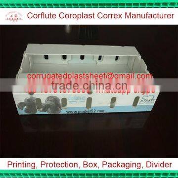 double wall corrugated blueberry packaging boxes